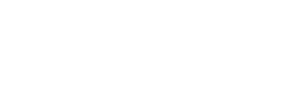 Project BlueArc